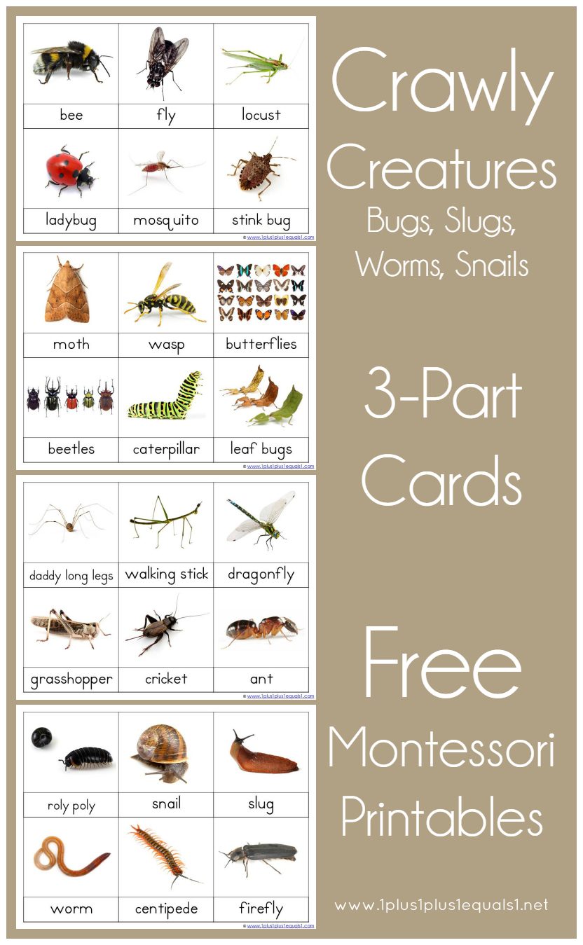 Montessori Printables Free Worksheets Printable Templates