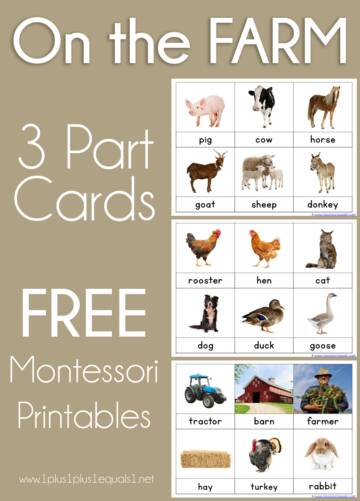 Montessori nomenclature cards free